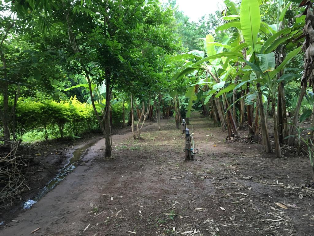 Paipunthong Resort المظهر الخارجي الصورة